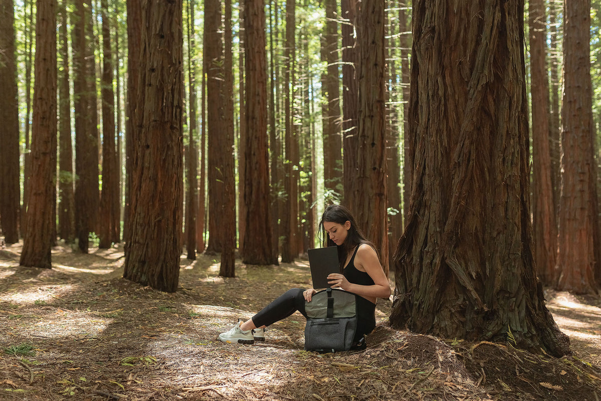 Things To Do During Self Isolation: Virtual National Park Tours